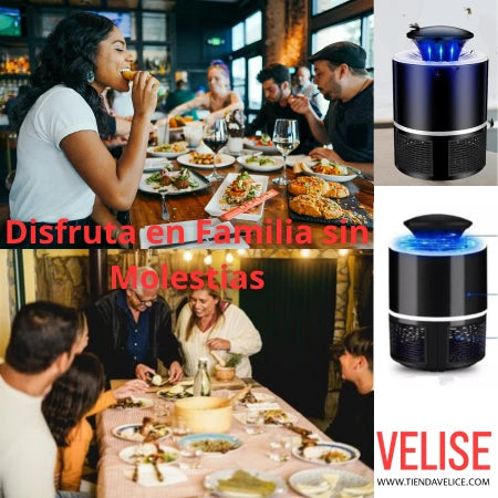 Atrapa Moscas y Mosquitos