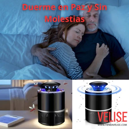 Atrapa Moscas y Mosquitos